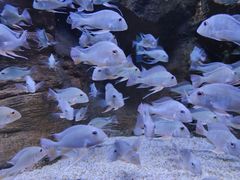 -成都浩海立方海洋公园