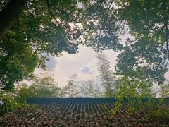 -求雨山文化公园