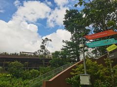 -新加坡飞禽公园