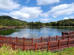 -海南热带雨林国家公园吊罗山景区
