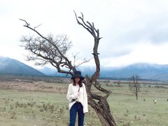 -石棉县孟获城