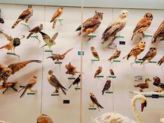 -国家自然博物馆