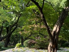 -中山公园