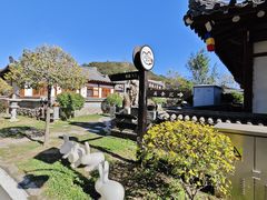 -珲春防川景区