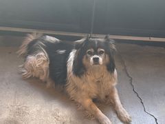 -可可露咖啡店(大东店)