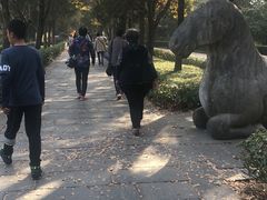 -侵华日军南京大屠杀遇难同胞纪念馆