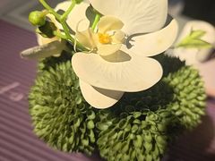 -将太无二·北美传奇寿司(瑞士公寓店)