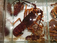 -万龙洲海鲜(大兴绿地缤纷城店)