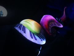 -贝壳梦幻世界