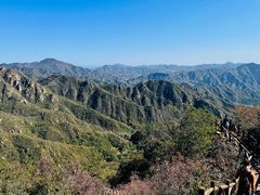 -大岭沟猕猴桃谷风景区