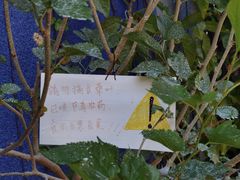 -广州市紫泥堂文化创意园景区