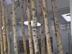 -极简口腔(总院)