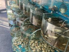-仙螺岛海鲜自助餐厅(总店)