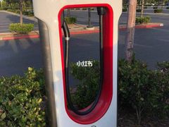 -TESLA 特斯拉(郑州正弘城体验店)