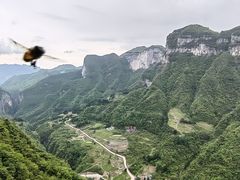 -鹿院坪生态旅游景区