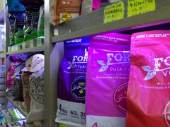 -香港宠物街