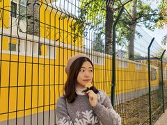 -三里屯东五街银杏大道
