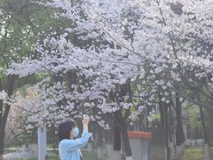 -堤角公园