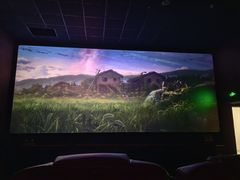 -卢米埃影城(合生广场IMAX店)