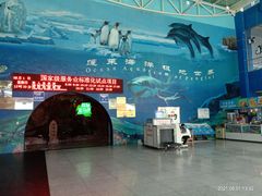 -蓬莱欧乐堡海洋极地世界