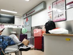 -复旦大学附属妇产科医院(黄浦院区)