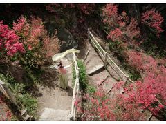 -木兰云雾山