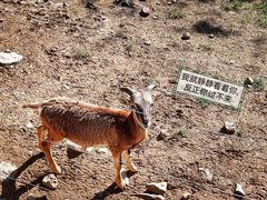 -济南野生动物世界
