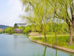 -上海佘山世茂艾美酒店