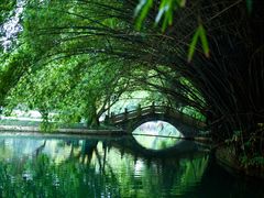 -棠湖公园