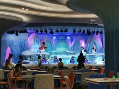 -帝企鹅自助餐厅•儿童岛•真企鹅(长隆企鹅酒店)