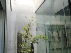 -苏州园林博物馆