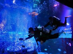 -沈阳海洋探索中心