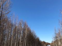 -莫尔道嘎国家森林公园