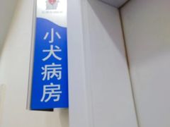 -心语宠物医院·急重症转诊中心·瑞辰华诺(南青路店)
