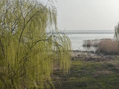 -合肥滨湖国家森林公园