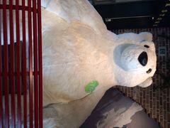 iphone_upload_pic-济州岛泰迪熊博物馆