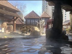 -裕龙汤泉