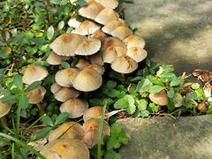 -白鹭湾湿地公园