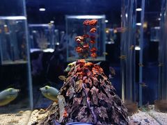 -海合安天津极地海洋公园