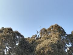 -四门塔风景区