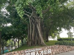 -深圳人才公园