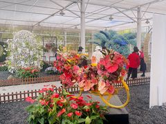 -上海鲜花港