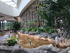 -大堂酒廊·亚龙湾万豪度假酒店
