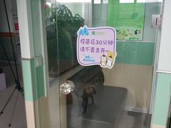 -美联众合动物医院(唯恩分院)