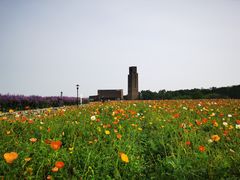 -江苏三台山国家森林公园