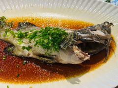 -必点海鲜·海肠捞饭·鲅鱼水饺(滨江道店)