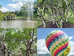 -西双版纳原始森林公园