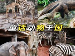-长鹿旅游休博园
