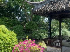 -上海醉白池公园