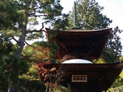 -常寂光寺